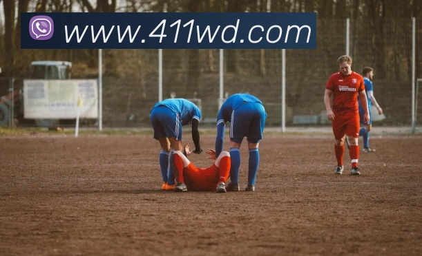 问鼎官网入口平台生态图